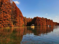 -上海海湾国家森林公园