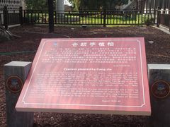 -仓颉庙