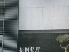 -梧桐餐厅(泉城路店)