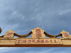 -金塔沙漠胡杨林景区
