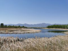 -野鸭湖国家湿地公园