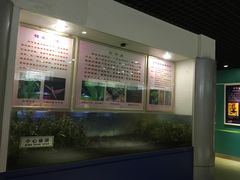 -上海昆虫博物馆