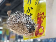 -南纪白浜Toretore市场