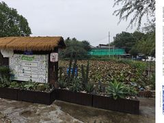 -元鼎宝驴香·全驴宴(江宁店)