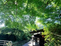 -三千院