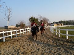 -杭州湾海上花田景区