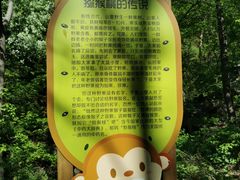 -大岭沟猕猴桃谷风景区