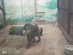 -昆明动物园