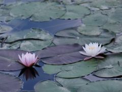 -艾溪湖湿地公园