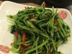 凉拌豆苗-老班长手工灌汤包老店(东山店)