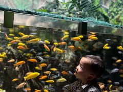 -太平洋海底世界