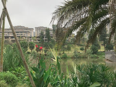 -枫香湖儿童公园