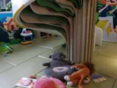 -极橙儿童齿科矫正中心(奥城店)