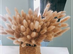 -小西家作(富力爱丁堡店)