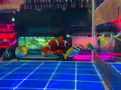-中环花鸟鱼虫市场