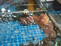 -和源祥·日照菜扛把子(万平口一店)