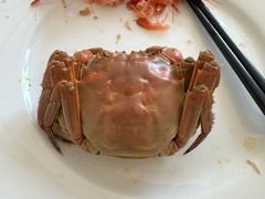 -阳澄湖半岛旅游度假区