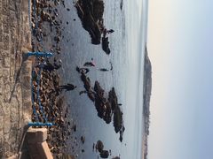 -青岛第三海水浴场