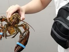-盒马鲜生(大成店)