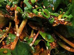 四川折耳叶-富乐山酒店(西黄城根北街店)