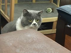 -不作·手工银饰DIY(西红门店)