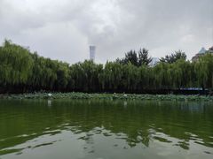 -团结湖公园