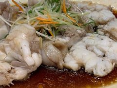清蒸石头鱼-榕树下海鲜馆(坪山路店)