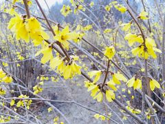 -长春公园(普阳街道)