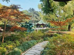 -申粤轩酒楼·三十年粤菜经典(丁香花园店)