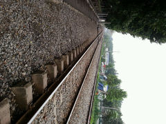 android_upload_pic-荷香居(洞企石路店)