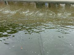 -DGE季风钓虾营地·团建·聚会