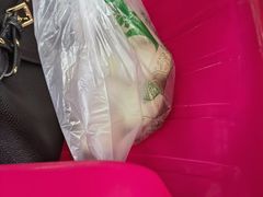 -霞姐屯昌枫木香草鸭店(海螺店)