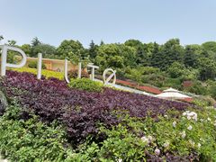 -UNIUNI(凯瑟琳广场店)