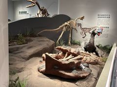 -自贡恐龙博物馆