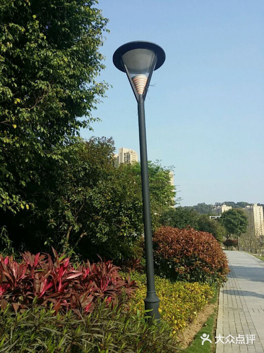 琴亭湖公园android_upload_pic图片