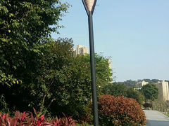 android_upload_pic-琴亭湖公园