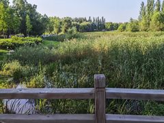 -蒲河岛湿地公园