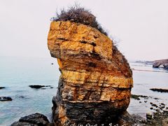 -大连金石滩滨海国家地质公园
