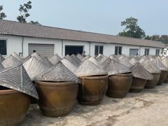 -苏州市吴中区光福窑上花果蜜饯厂