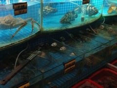 水产区-望海潮海鲜店 特色家常菜(在海一方店)