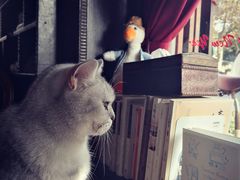 -不舍昼夜咖啡馆