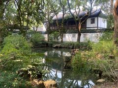 -上海醉白池公园