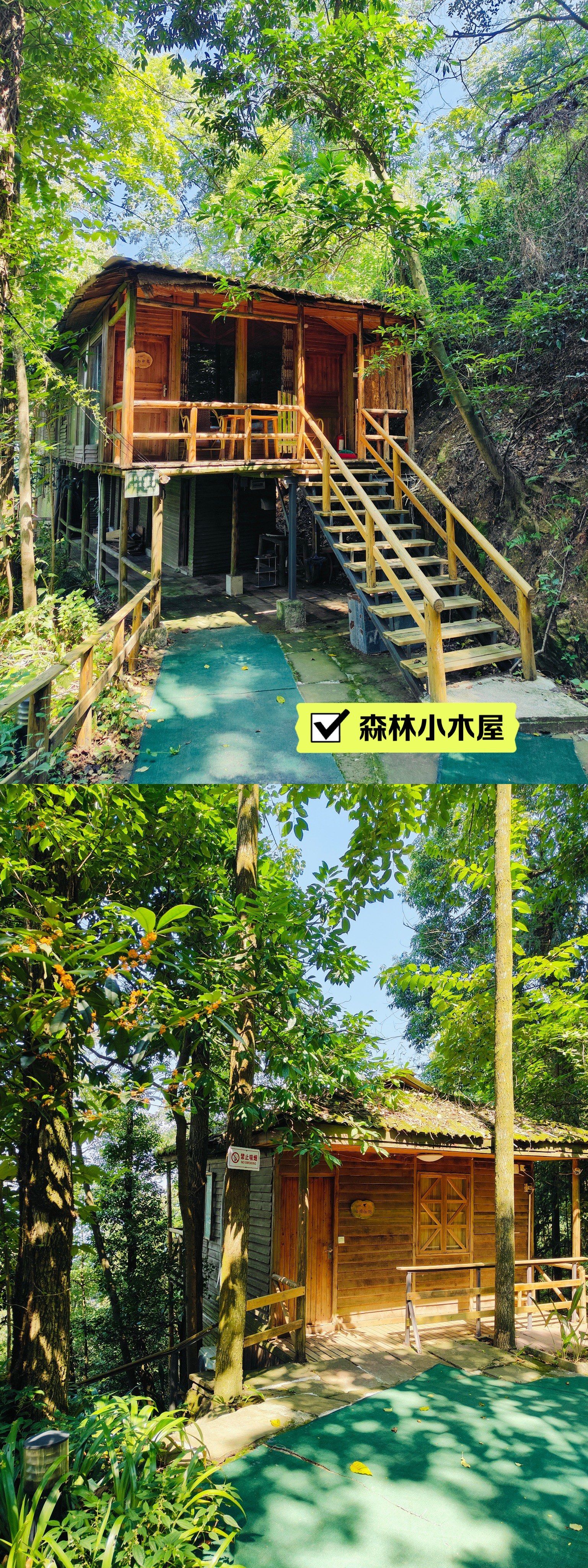 重庆铜梁巴岳山游记—去森林吸氧吧!