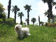 -宁波九龙湖开元度假村