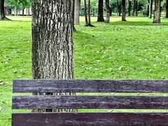 -眉山湿地公园(东坡区)