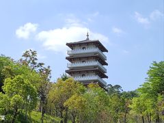 -大亚湾红树林城市湿地公园