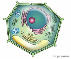 -壹加壹医疗美容·轻医美·美容外科