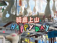 -盈香心动乐园