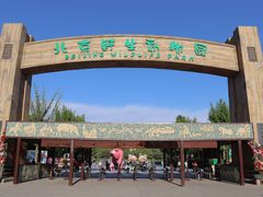 -北京野生动物园