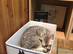 -隅cafe(傅厚岗店)